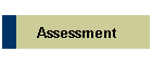 Assessment