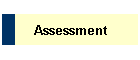 Assessment